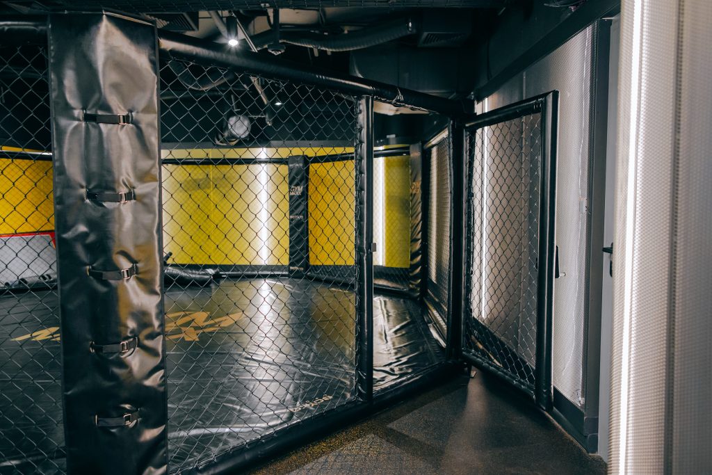 MMA OCTAGON